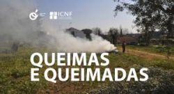 Queimas e Queimadas